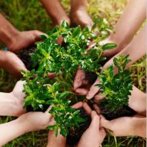 diverse hands holding plants